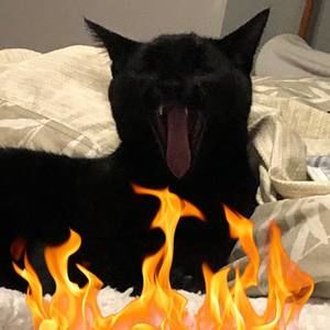 Meet your Posher, Garet